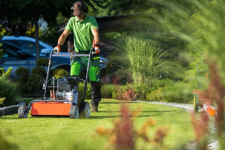 Scène extérieure de jardinage avec personne portant gants noirs utilisant sécateur électrique sur branche d'arbre