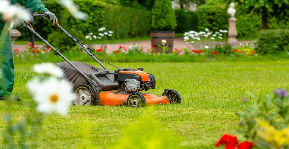 Scène extérieure d'un jardin résidentiel avec haie parfaitement taillée longeant une pelouse verte uniforme sous ciel bleu partiellement nuageux