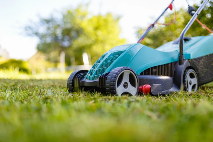 Homme jardinant en extérieur, utilisant un sécateur pour entretenir des plantes fleuries