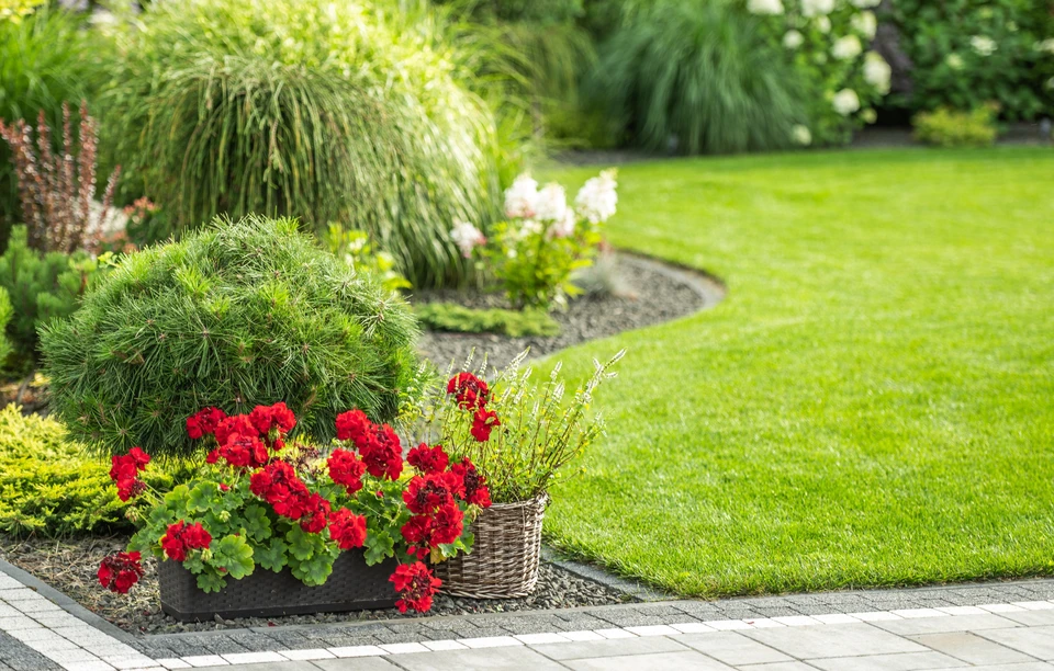Pelouse verte uniforme en extérieur, surface gazonnée bien entretenue sans personnages visibles, idéale pour services d'aménagement paysager ou jardinage professionnel
