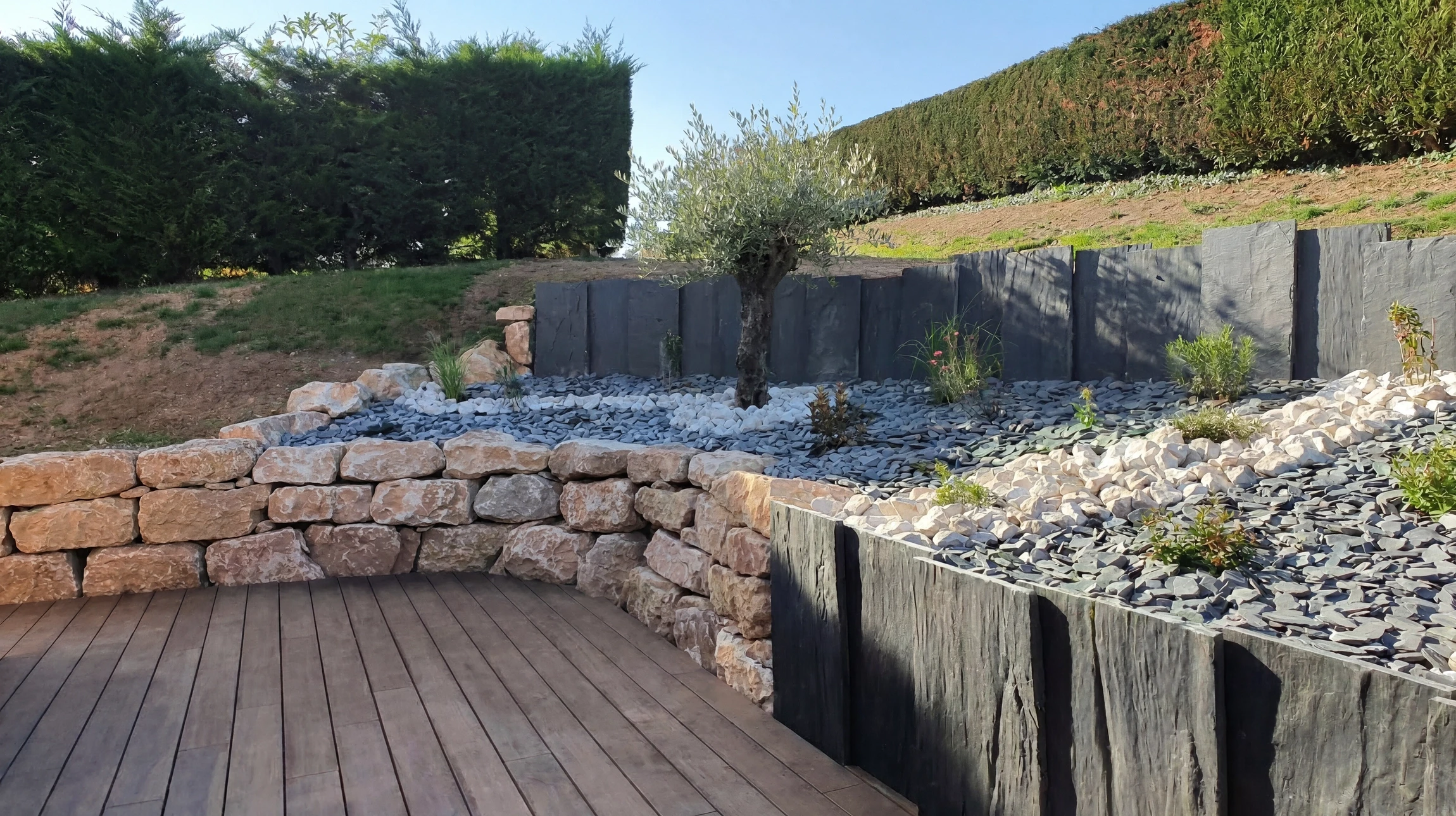 Scène extérieure d'un jardin résidentiel avec haie parfaitement taillée longeant une pelouse verte uniforme sous ciel bleu partiellement nuageux