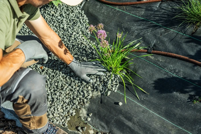 Photographie d'un paysagiste professionnel travaillant dans un jardin aménagé, occupé à une tâche de paysagisme (plantations, taille, aménagement). L'image doit montrer une scène authentique du professionnel en action dans son environnement de travail, mettant en évidence son expertise et sa passion pour les espaces verts. Arrière-plan avec des plantes, des éléments d'aménagement paysager ou un jardin magnifiquement entretenu. Lumière naturelle, professionnel en tenue de travail appropriée, composant une scène dynamique et inspirante.