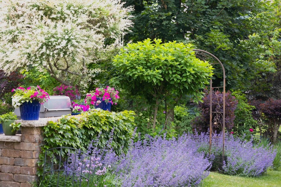 Homme jardinier paysagiste travaillant dans un jardin extérieur, agenouillé sur dallage en pierre naturelle